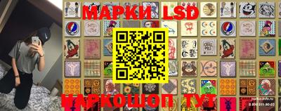 эйфоретик Моздок